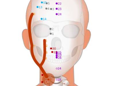 03 ST09 Renying Man‘s Prognosis 人迎