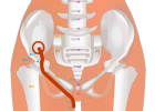 04 SP13 Fushe Bowel Abode府舍